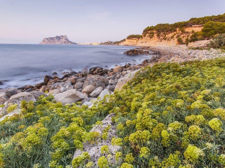 Villa for Sale in Cala Advocat, Benissa, Alicante 25