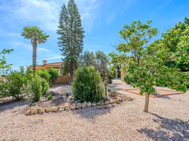 Country House for Sale in Rojales, Alicante, 15