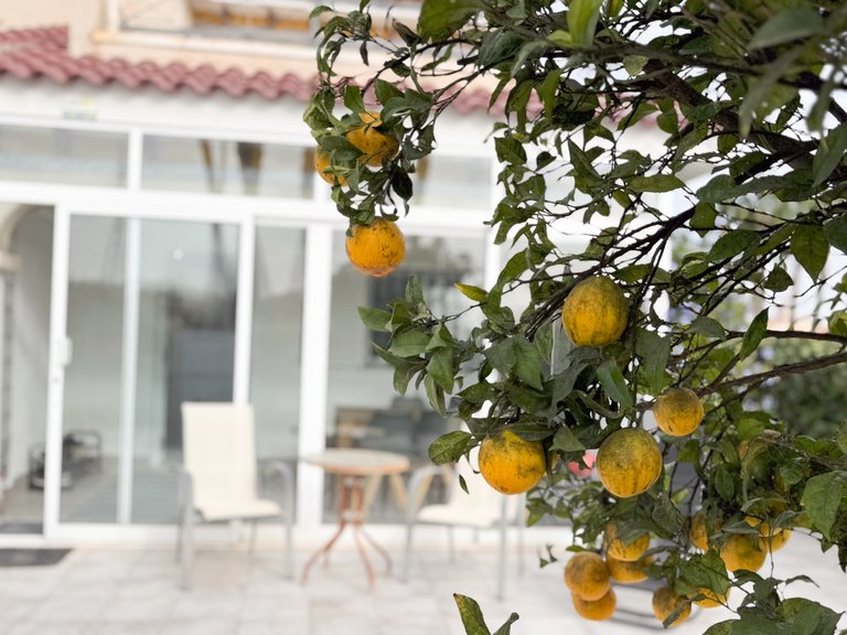Villa for Sale in Orihuela Costa, Alicante, 19