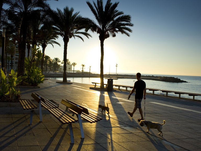 Apartment for Sale in Punta Prima, Alicante 26