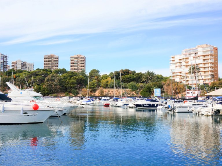 Villa for Sale in Lomas de Cabo Roig, Cabo Roig, Alicante 16