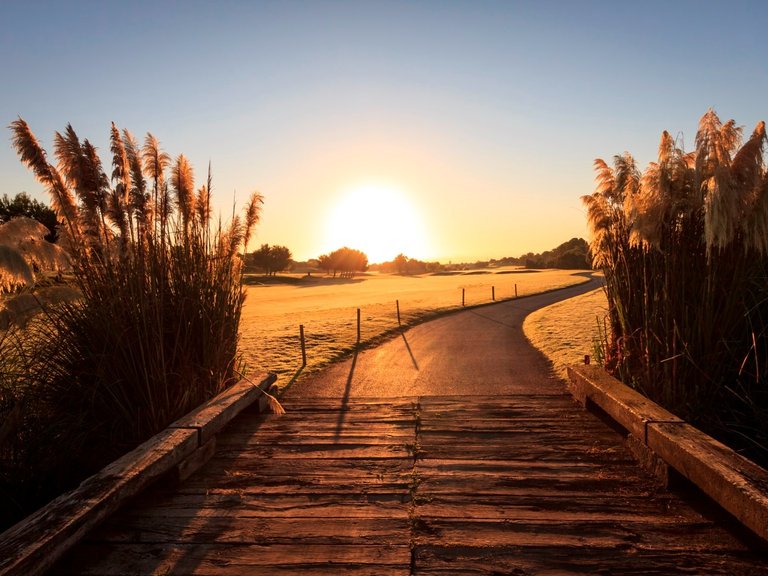 Apartment for Sale in Lo Romero golf resort, Pilar De La Horadada, Alicante 39