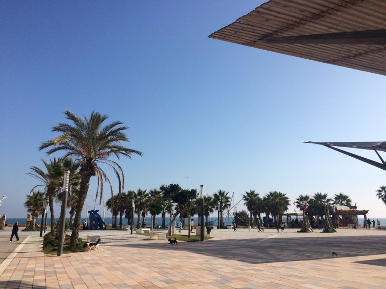 Apartment for Sale in Torrelamata - La Mata, Torrevieja, Alicante 19