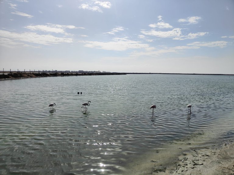 Apartment for Sale in San Pedro Del Pinatar, Murcia 12