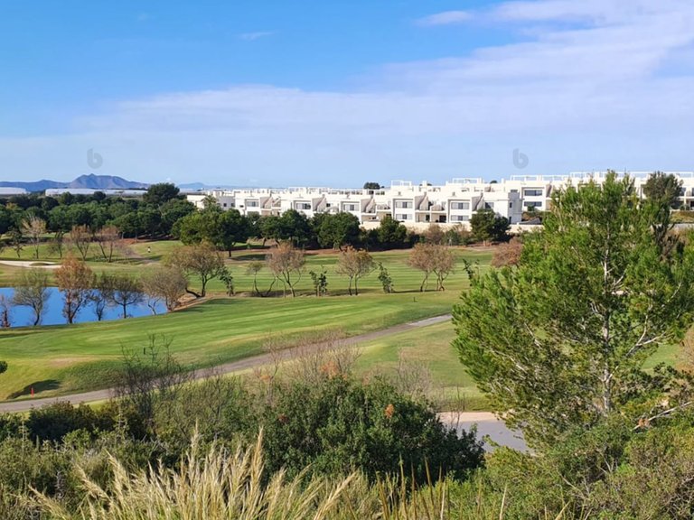 Villa for Sale in Lo Romero golf resort, Pilar De La Horadada, Alicante 15