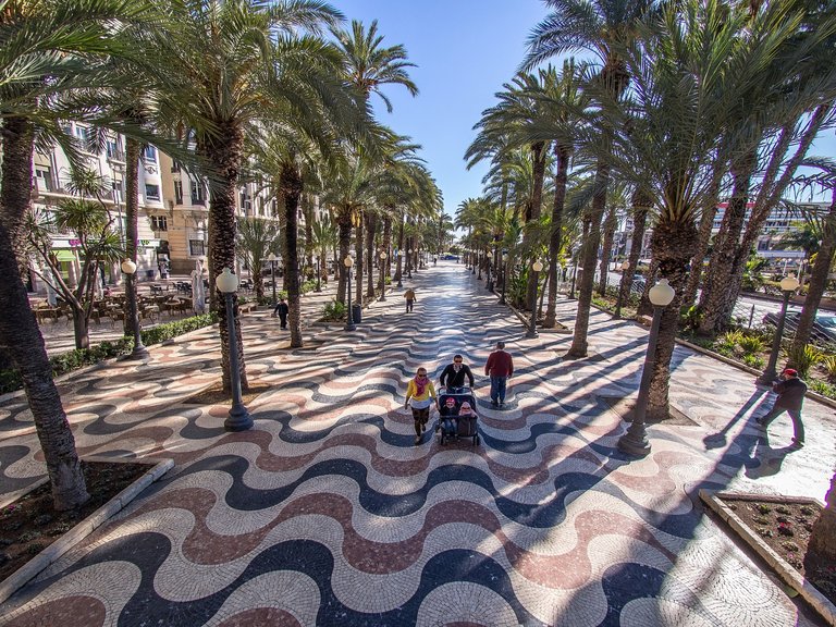 Apartment for Sale in Torrelamata - La Mata, Torrevieja, Alicante 34