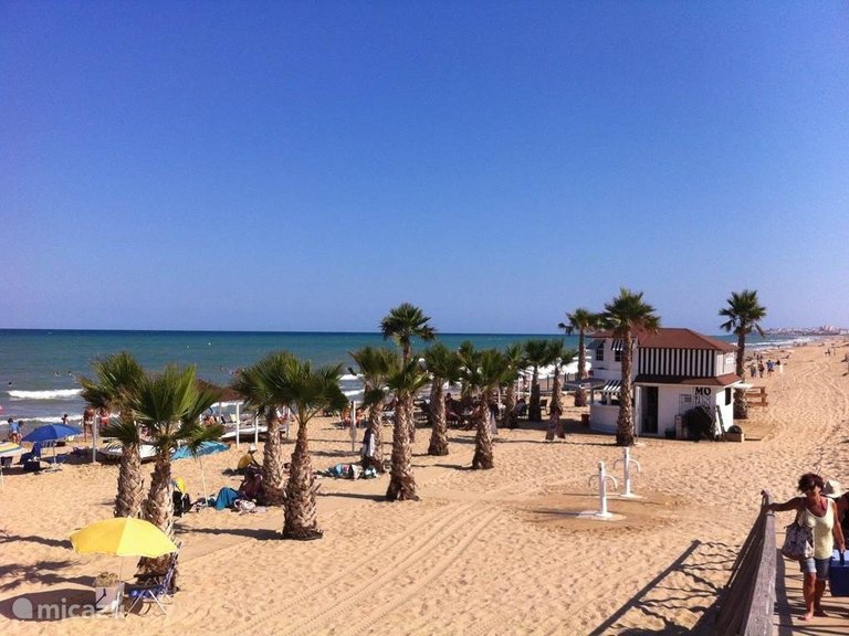 Town House for Sale in Dolores, Alicante 7
