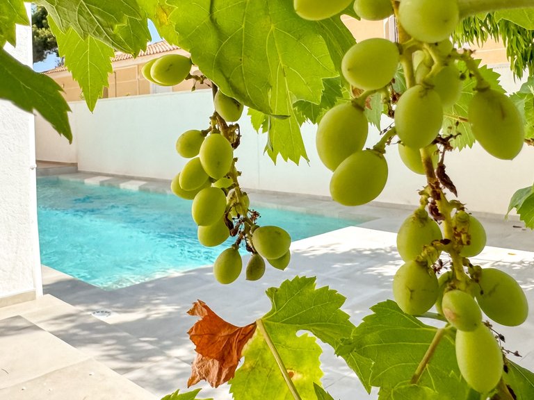 Villa for Sale in Los Balcones, Torrevieja, Alicante 41