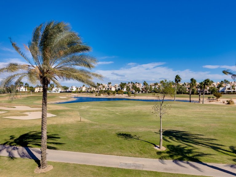 Villa for Sale in Lo Romero golf resort, Pilar De La Horadada, Alicante 45