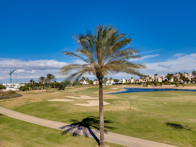 Villa for Sale in Lo Romero golf resort, Pilar De La Horadada, Alicante 46