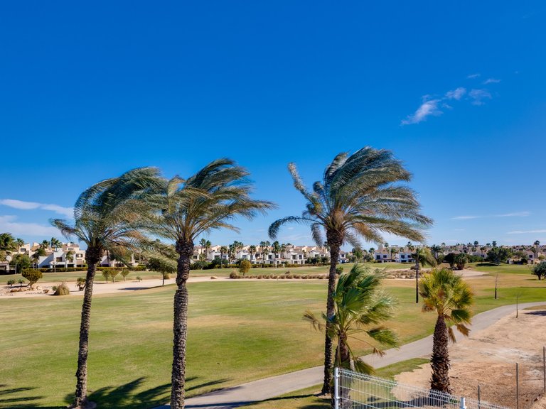 Villa for Sale in Lo Romero golf resort, Pilar De La Horadada, Alicante 44