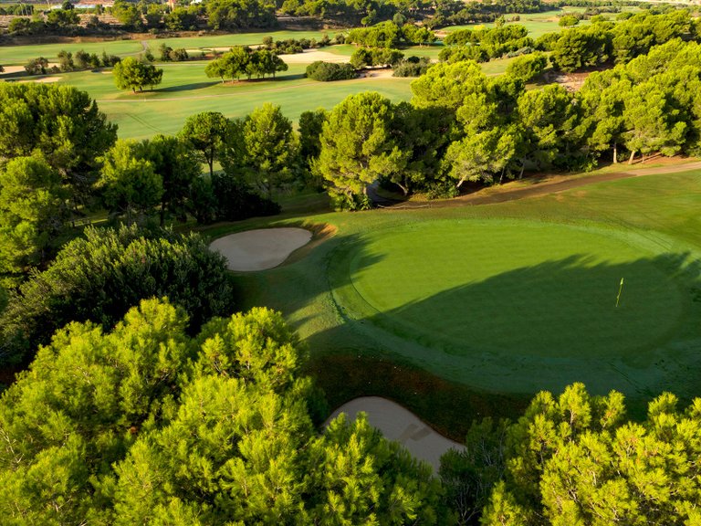 Villa for Sale in Lo Romero golf resort, Pilar De La Horadada, Alicante 47