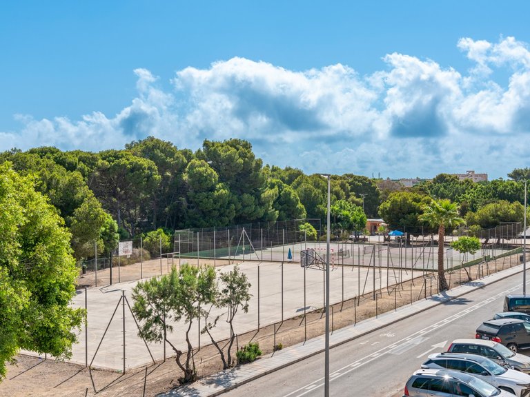 Villa for Sale in Mil Palmeras, Alicante 30