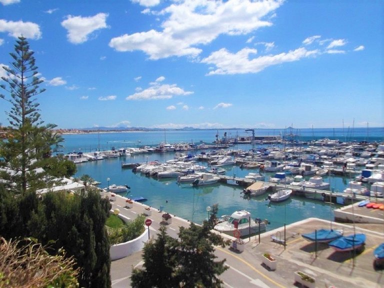 Apartment for Sale in Mil Palmeras, Alicante 19