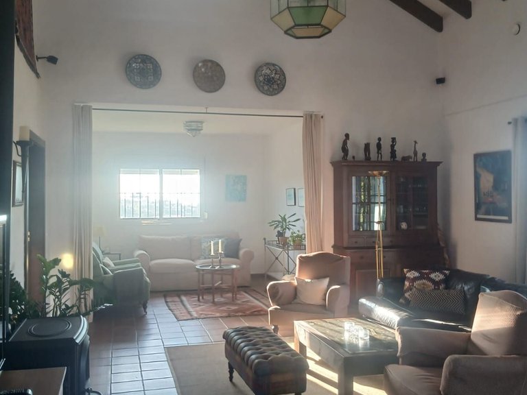 Villa for Sale in Estepona, Malaga 31