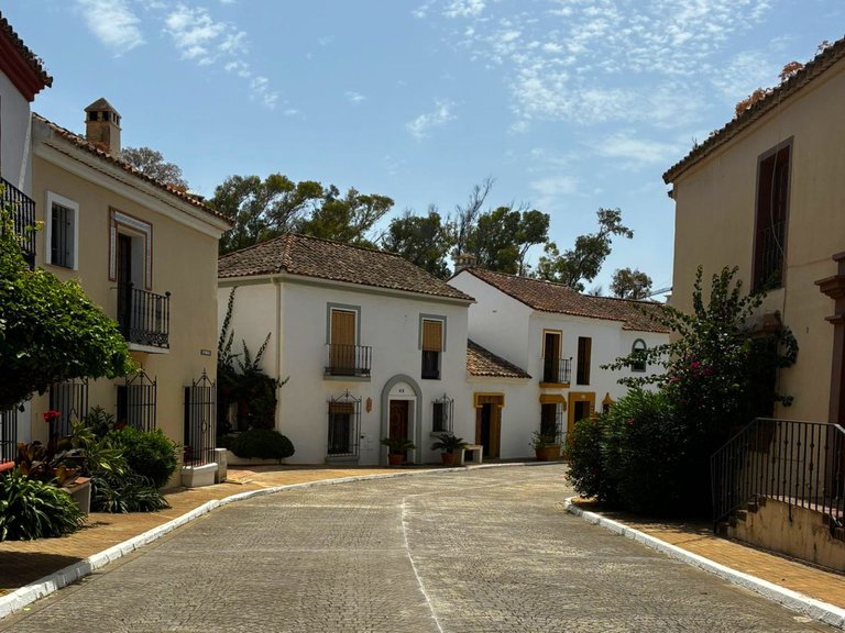 Villa for Sale in Guadalmina Baja, Malaga 18