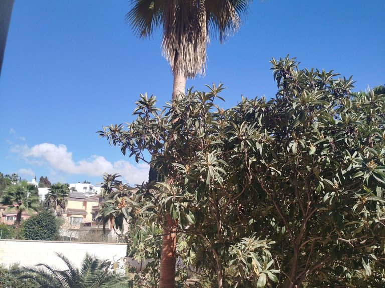Villa for Sale in Campo Mijas, Malaga 77