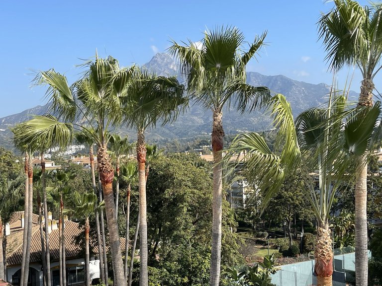 Apartment for Sale in Nueva Andalucía, Malaga 2