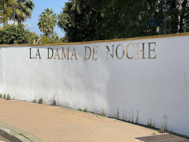 Apartment for Sale in Nueva Andalucía, Malaga 26