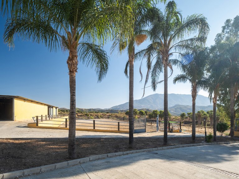 Villa for Sale in Mijas Costa, Malaga 11