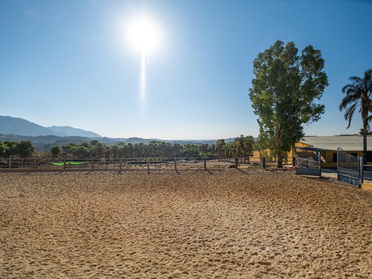 Villa for Sale in Mijas Costa, Malaga 14