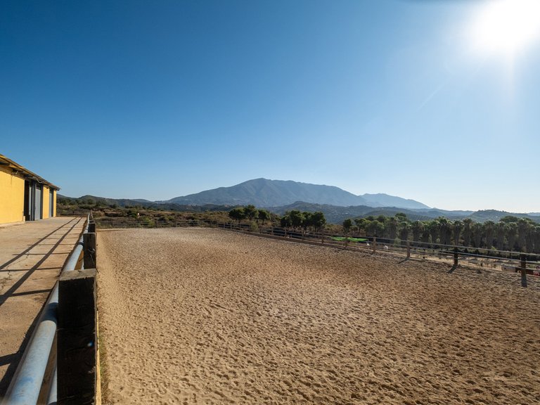 Villa for Sale in Mijas Costa, Malaga 15