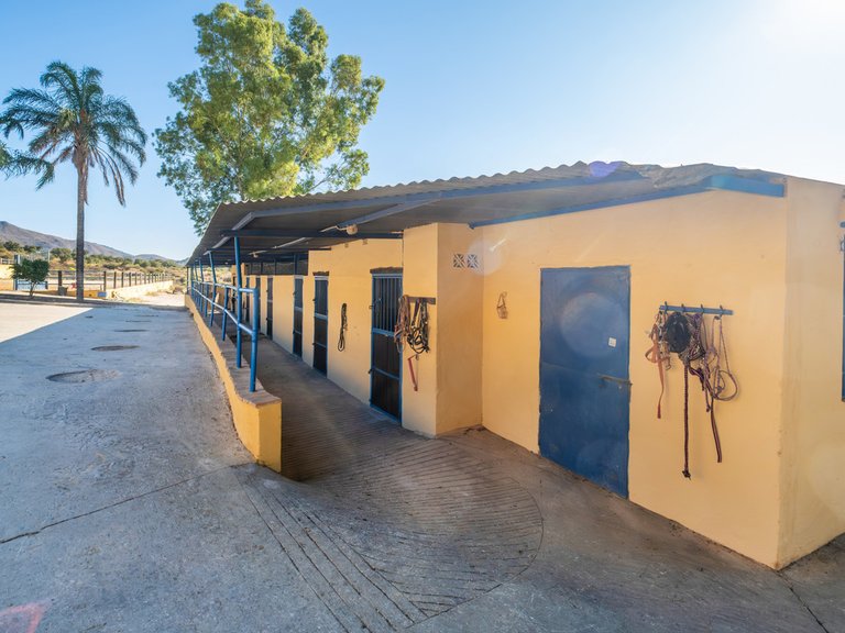 Villa for Sale in Mijas Costa, Malaga 21