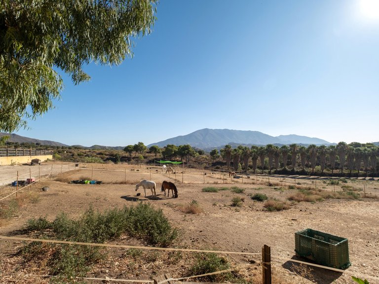 Villa for Sale in Mijas Costa, Malaga 22