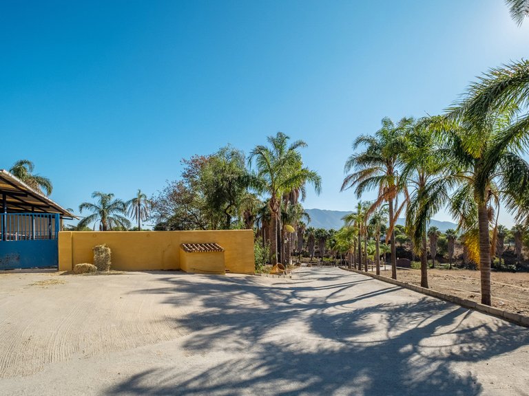 Villa for Sale in Mijas Costa, Malaga 27