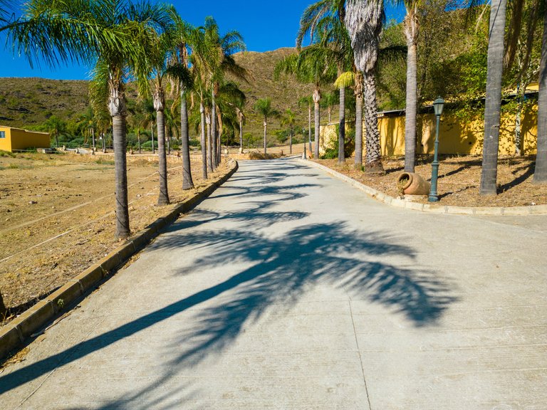 Villa for Sale in Mijas Costa, Malaga 5