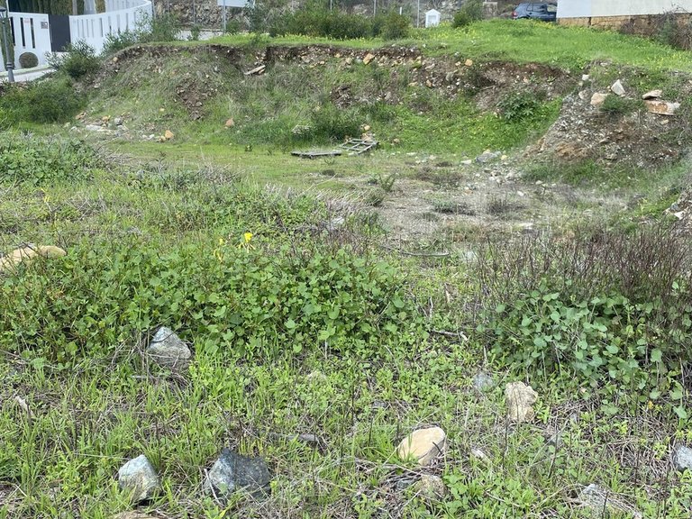 Plot for Sale in Benahavís, Malaga 13