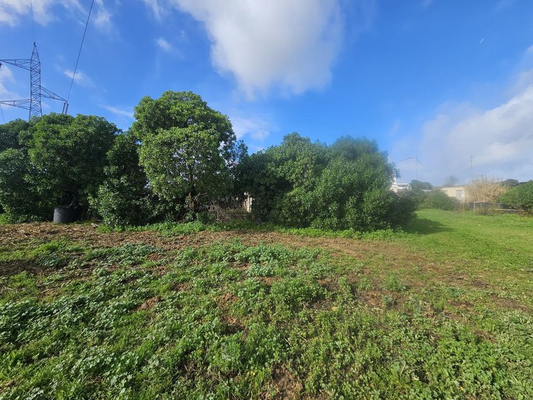 Villa for Sale in Casares, Malaga 10