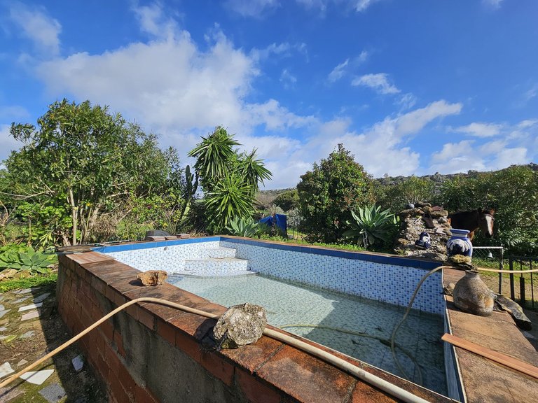 Villa for Sale in Casares, Malaga 4
