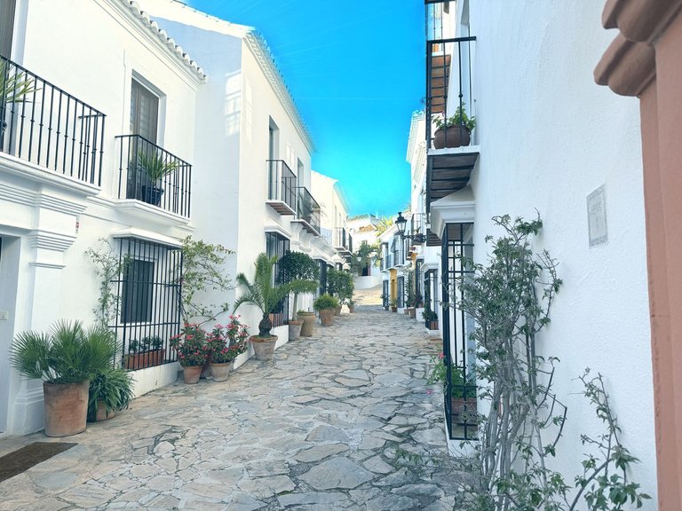 Villa for Sale in Marbella, Malaga 3