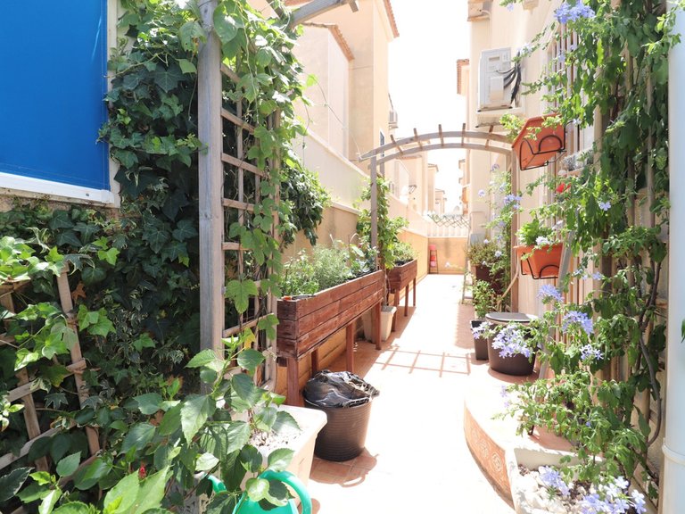 Villa for Sale in Algorfa, Alicante 35