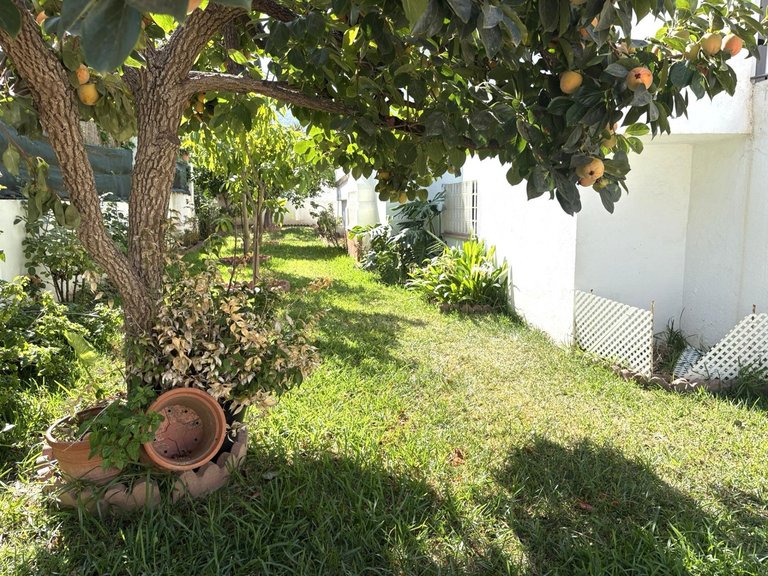 Villa for Sale in Alhaurín De La Torre, Malaga 50