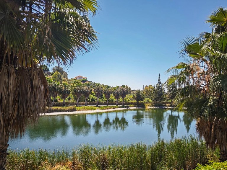 Apartment for Sale in Benahavís, Malaga 12