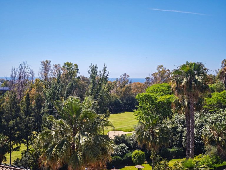 Apartment for Sale in Benahavís, Malaga 18