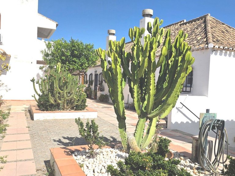 Apartment for Sale in Mijas Golf, Malaga 25