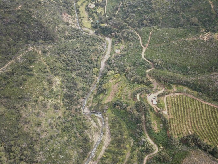 Plot for Sale in Estepona, Malaga 3