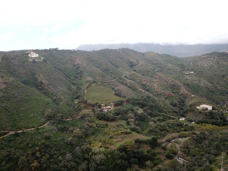 Plot for Sale in Estepona, Malaga 4