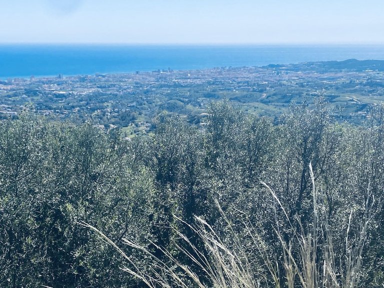 Villa for Sale in Valtocado, Malaga 2