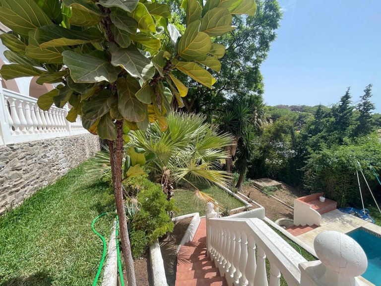 Villa for Sale in Torremuelle, Malaga 6