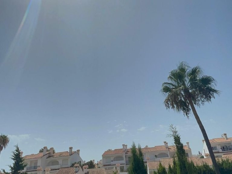 Villa for Sale in Torremuelle, Malaga 8