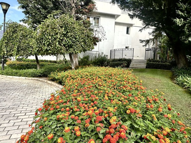 Apartment for Sale in Marbella, Malaga 66