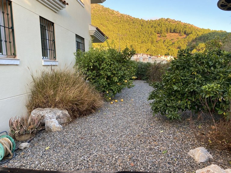 Apartment for Sale in Costa del Sol Mijas, Malaga 17