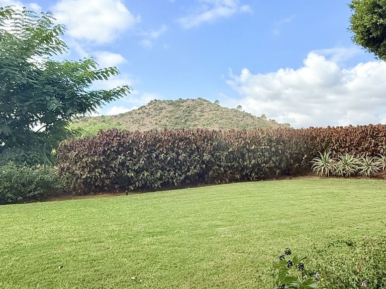 Apartment for Sale in Los Arqueros, Malaga 45