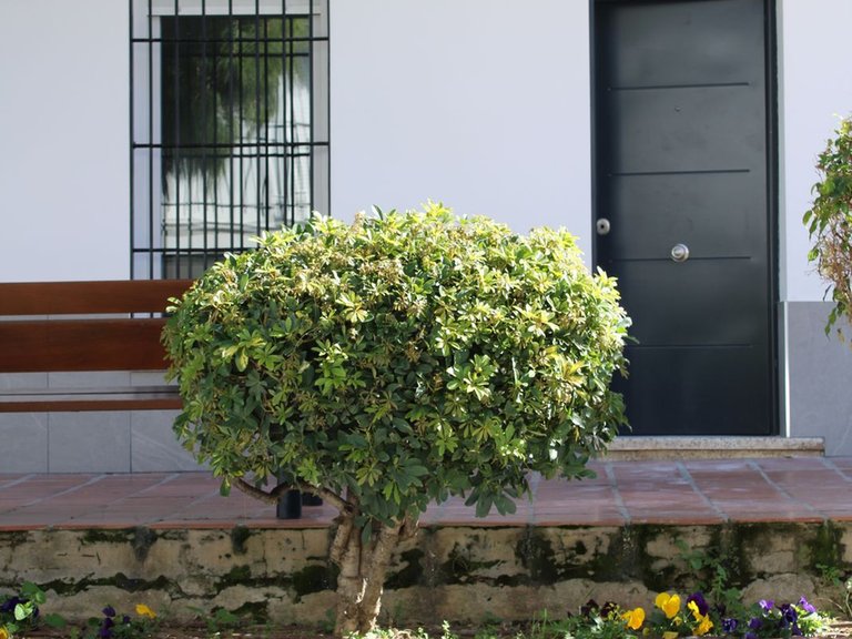Apartment for Sale in Alhaurín El Grande, Malaga 3