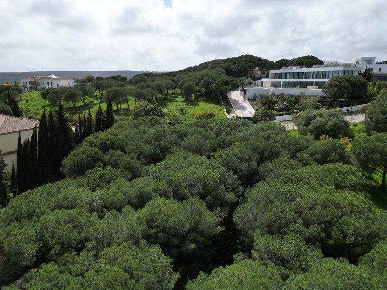 Plot for Sale in Sotogrande, Malaga 10