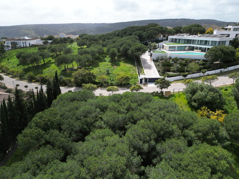 Plot for Sale in Sotogrande, Cadiz 23
